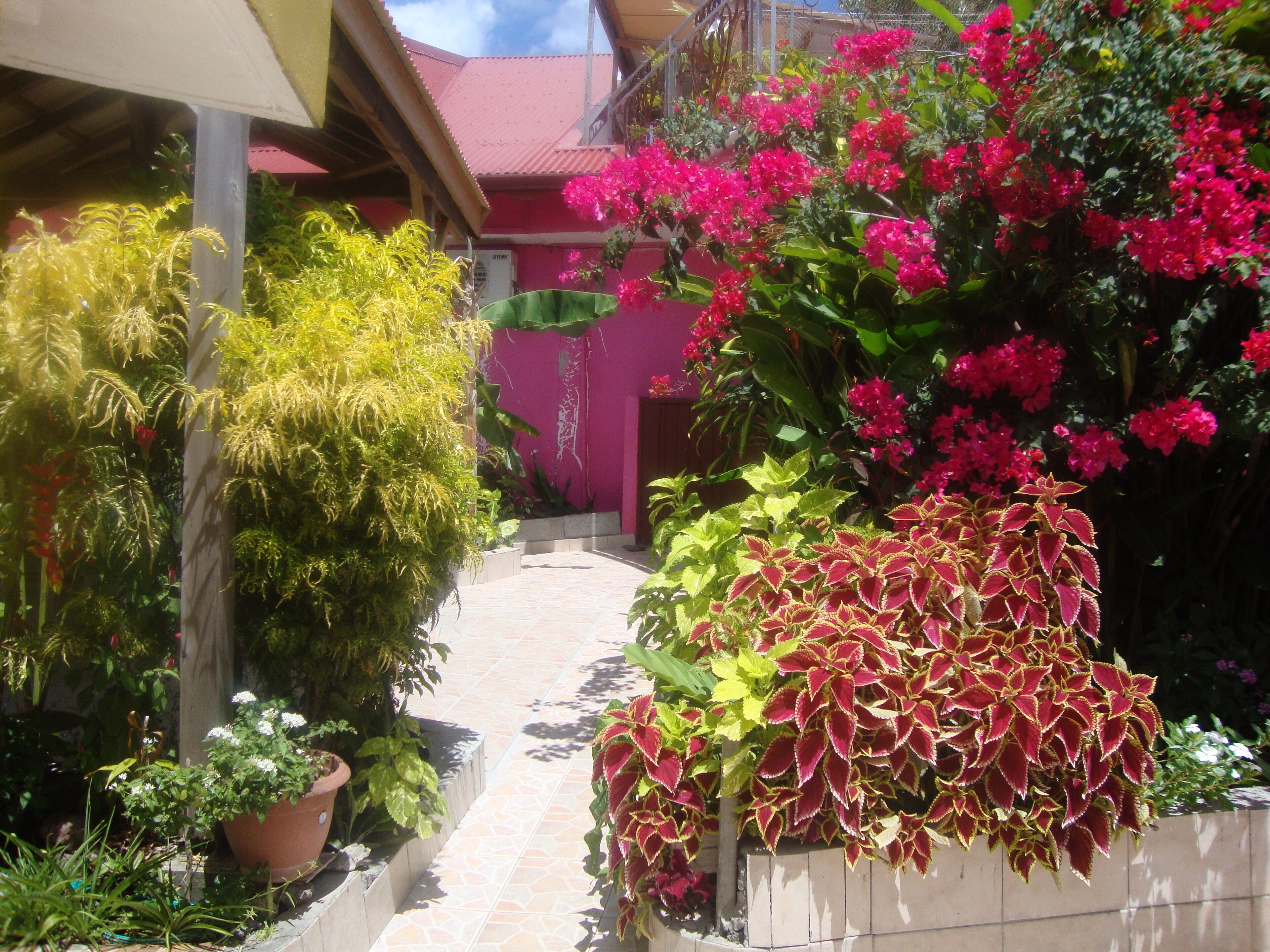Un sendero estrecho bordeado por plantas en macetas y arbustos florecientes, que conduce a un edificio con techo rojo.