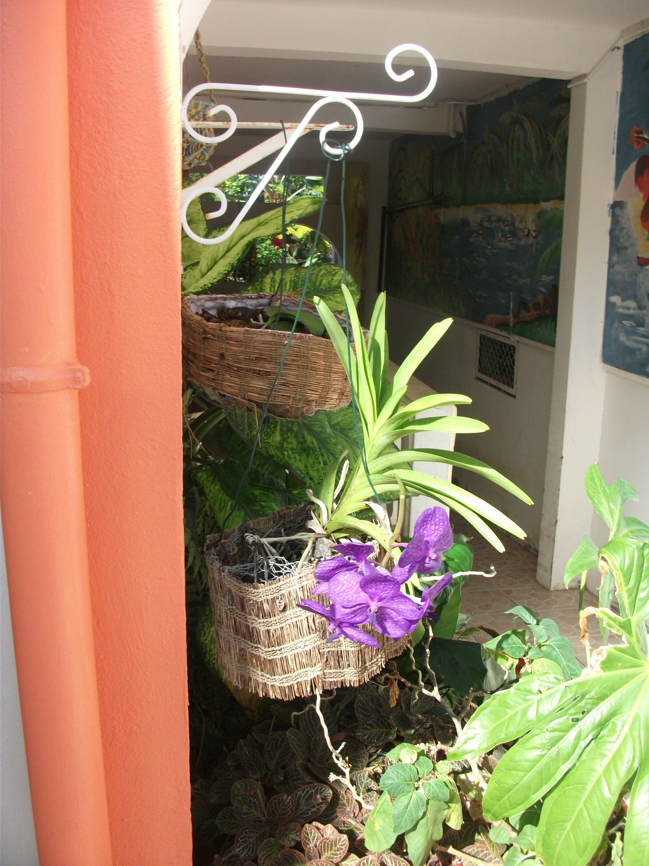 A corner with a hanging basket containing a purple orchid and other plants, a wicker basket with a plant, and a wall with a mural.