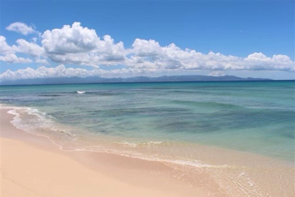 Playa en los alrededores 