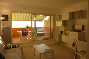 TV, DVD player, books, stereo - <- DIRECT on this BEACH, bright; SEA VIEW. T2 ***** 42m2 + TERRACE + WIFI garage (Capbreton)