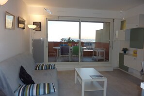 TV, DVD player, books, stereo - <- DIRECT on this BEACH, bright; SEA VIEW. T2 ***** 42m2 + TERRACE + WIFI garage (Capbreton)