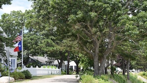 A residential area with a gravel driveway, a white picket fence, and a large tree. - Falmouth - walk to beach, walking path, close to downtown, private yard (Falmouth)