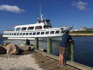Eksteriør