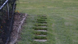 Ein Weg mit Stufen, der zu einer Wiese führt, begrenzt von einem Zaun.