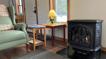 Fireplace, books