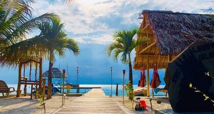 The Pink Seahorse Cabana at King Lewey's Island Resort, Placencia Cayes, Belize