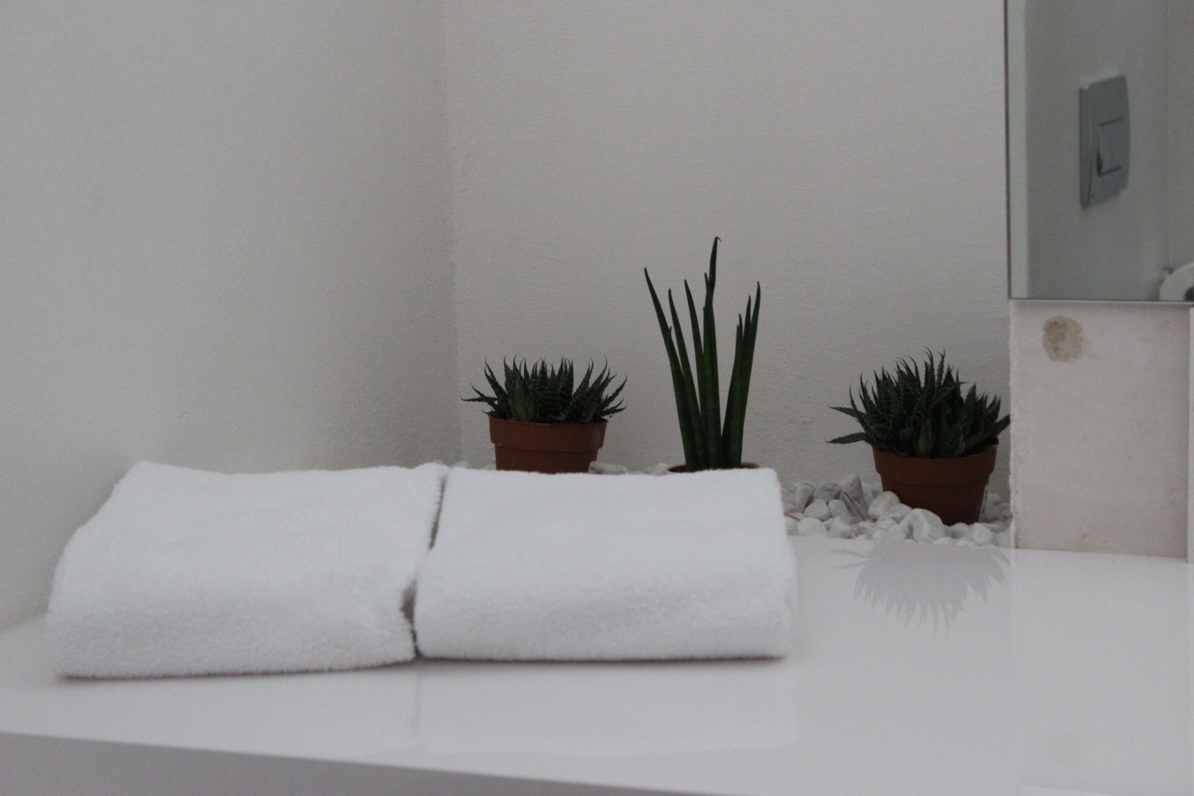 A bathroom with white tiles, two potted plants, and a folded white towel on a counter.