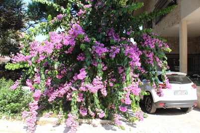 B&B Villa Wanda