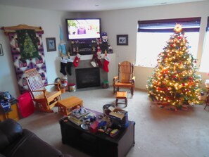 TV, fireplace, books