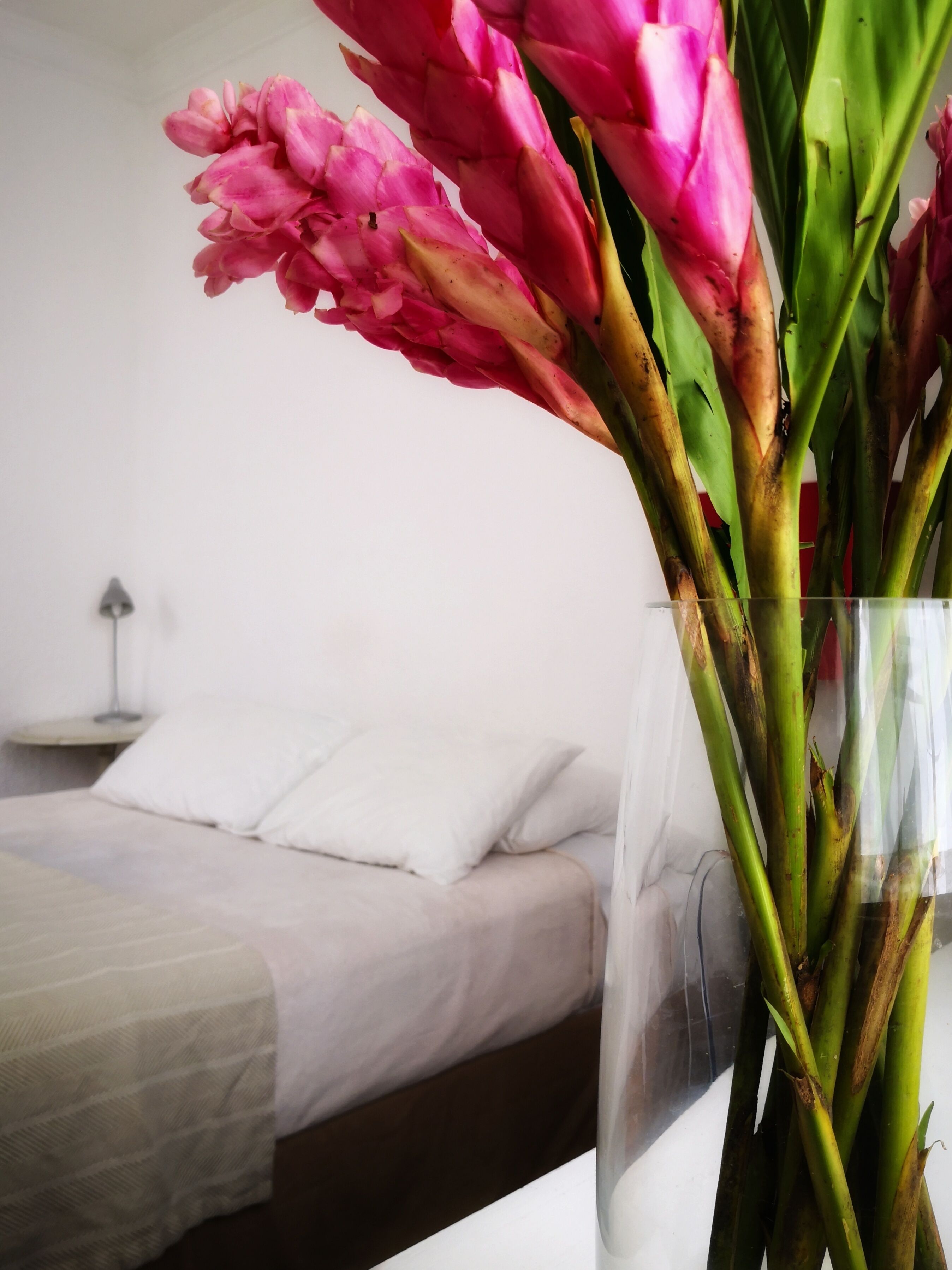 Foto - Distrito Condesa Rooms and Studios