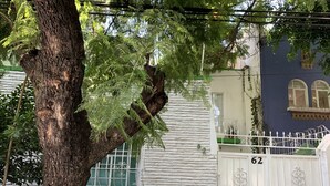 Un arbre se trouve devant un bâtiment dont le mur est blanc et présente une texture particulière, et le portail porte le numéro « 62 ».