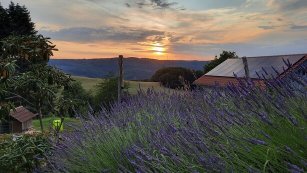 Een landelijk landschap met een zonsondergang, lavendelvelden en een huis met zonnepanelen.