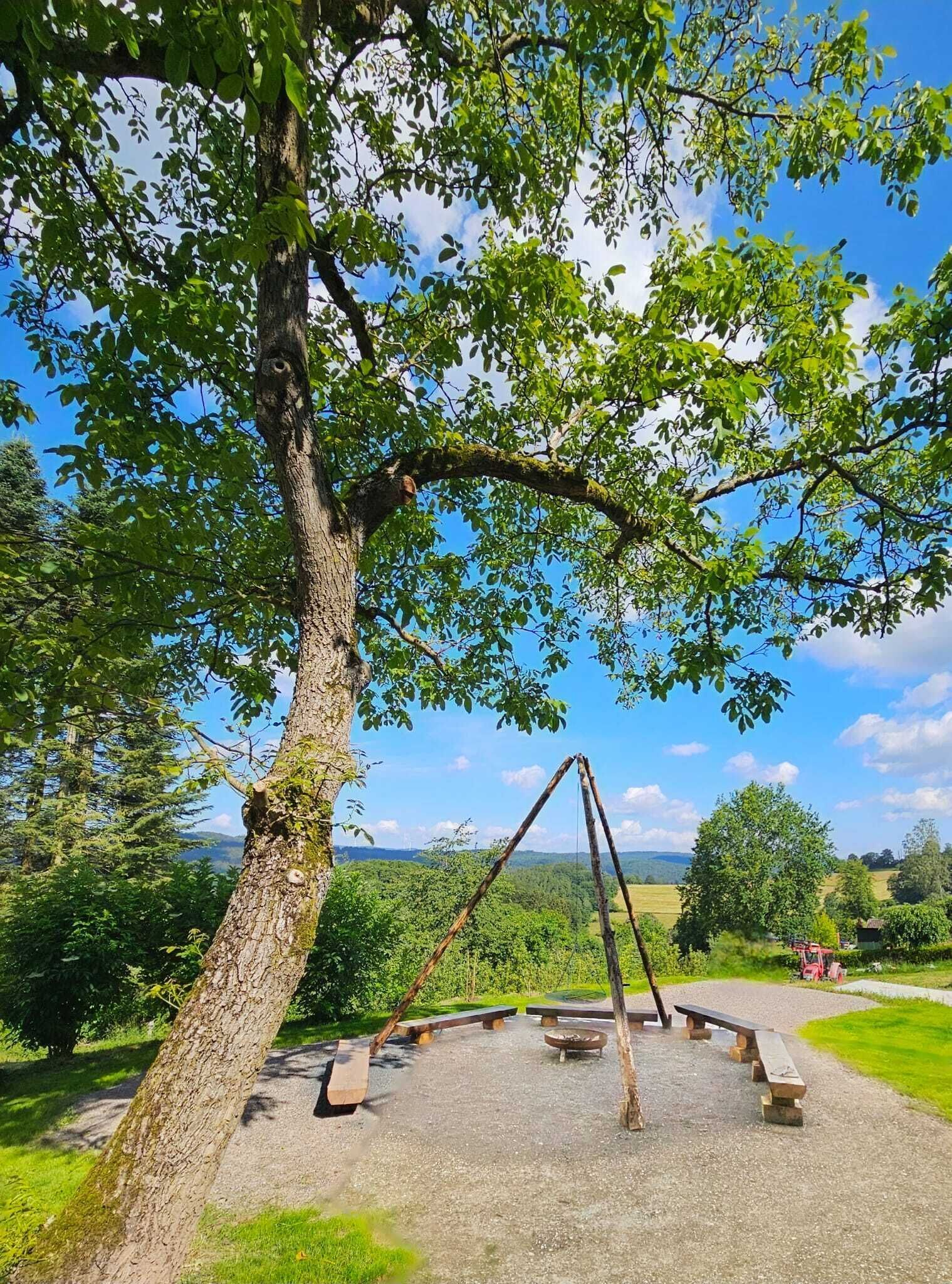 Área da propriedade