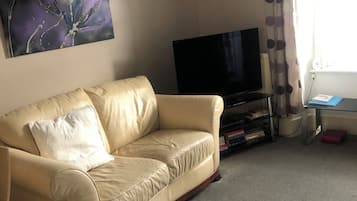 TV, DVD player, books