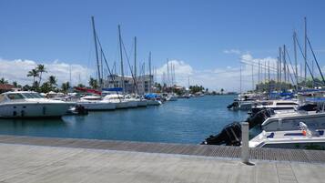 A marina with several boats docked, a wooden deck, and a building in the background.