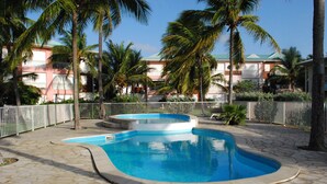 Una piscina con plataforma de piedra, rodeada de palmeras y una valla blanca.