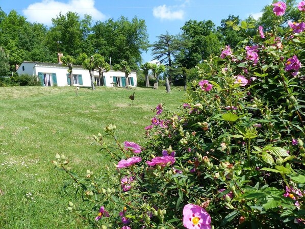 Terrain de l’hébergement 