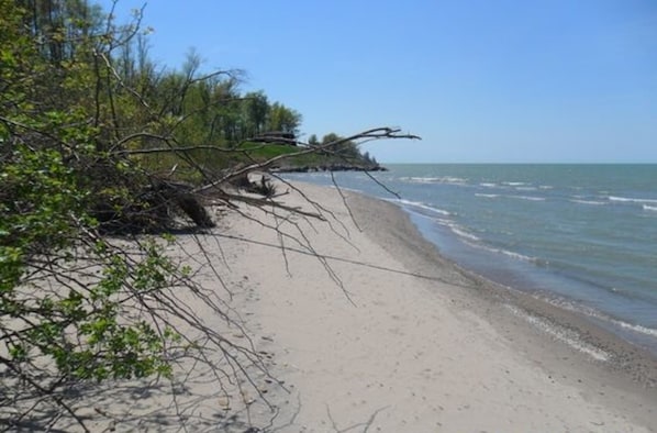 Plage à proximité
