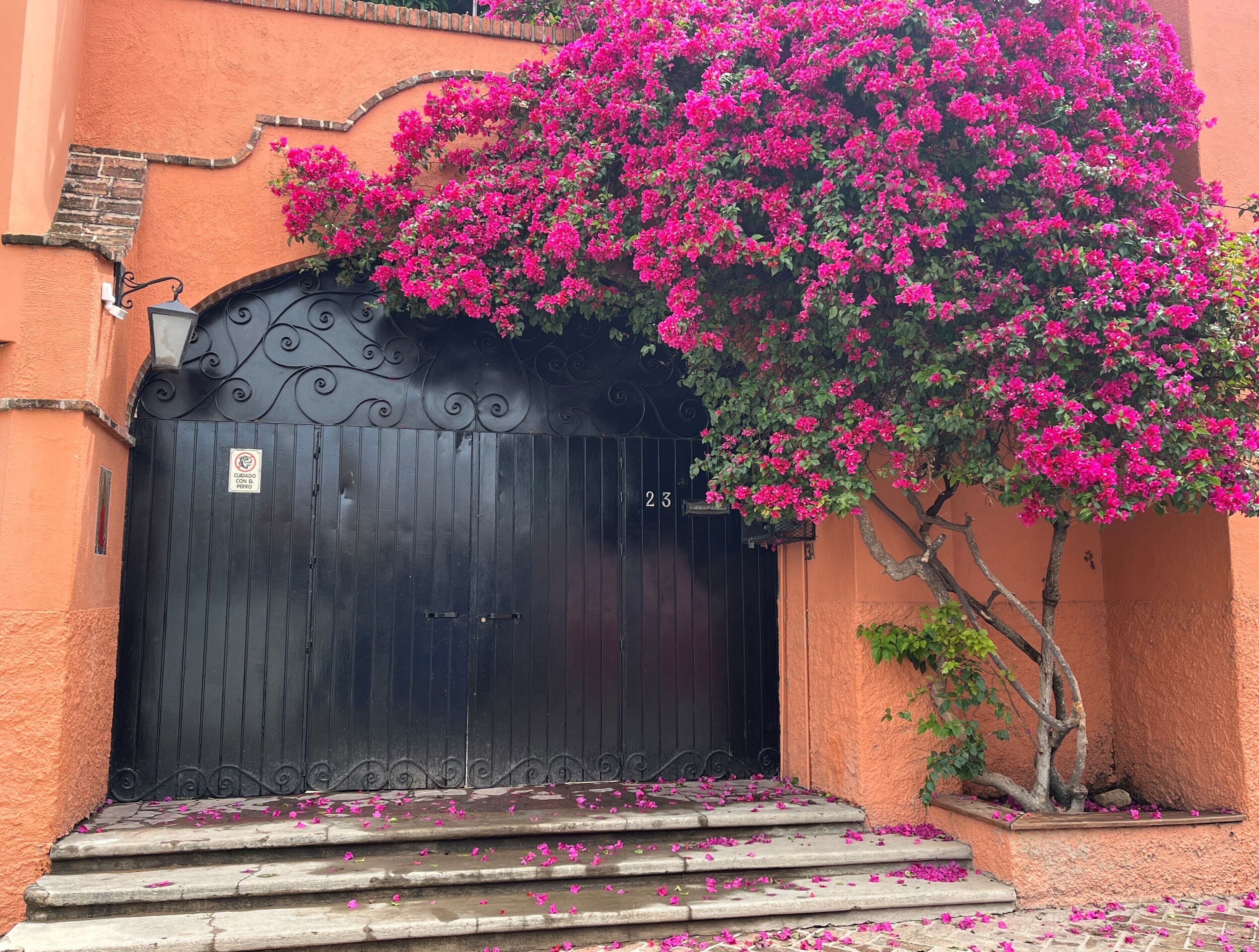 Um portão preto com uma placa, uma árvore com flores cor-de-rosa e degraus que levam a um edifício.