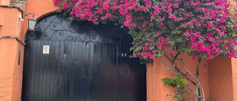 Une porte noire avec une plaque, un arbre aux fleurs roses et des marches menant à un bâtiment.