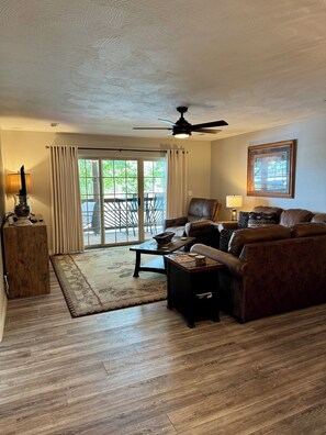 TV, fireplace, DVD player