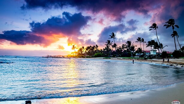 Una spiaggia con palme al tramonto.