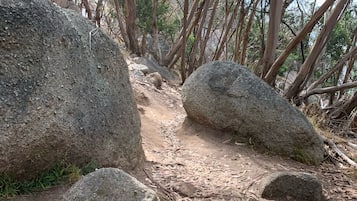 Point of interest