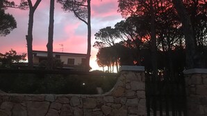 Eine Steinmauer und Bäume vor einem Sonnenuntergang.