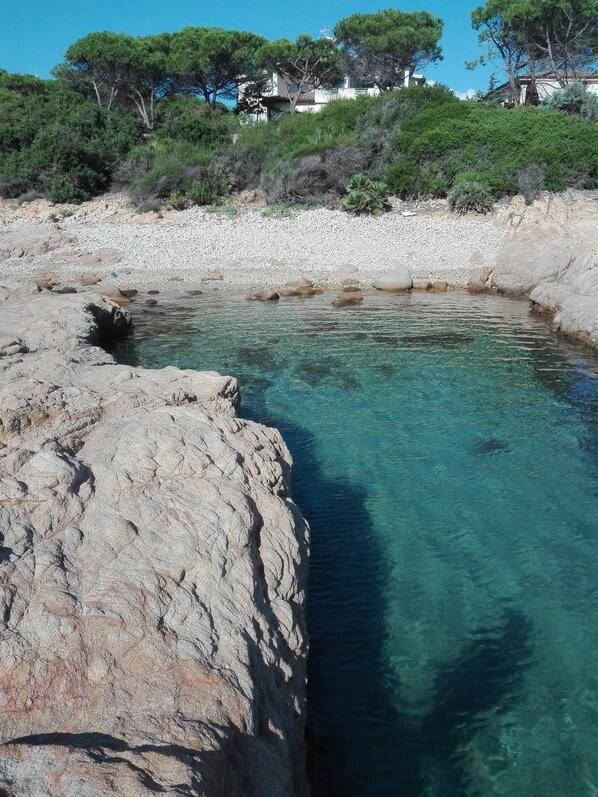 Una costa rocosa con agua cristalina, árboles y edificios al fondo.