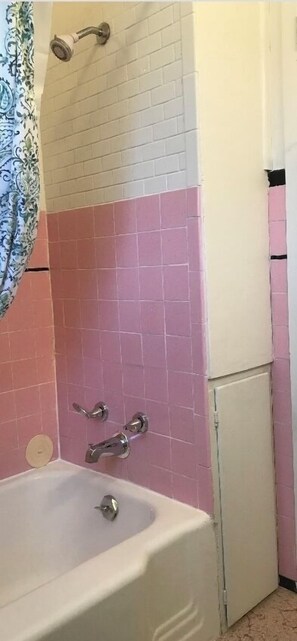Secador de cabelo, toalhas de banho, shampoo, papel higiênico