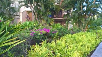 Área da propriedade