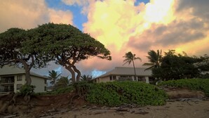 A beachfront property with a large tree, palm trees, and a building with a flat roof.
