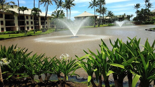 A water fountain in a landscaped area with palm trees and a building in the background.