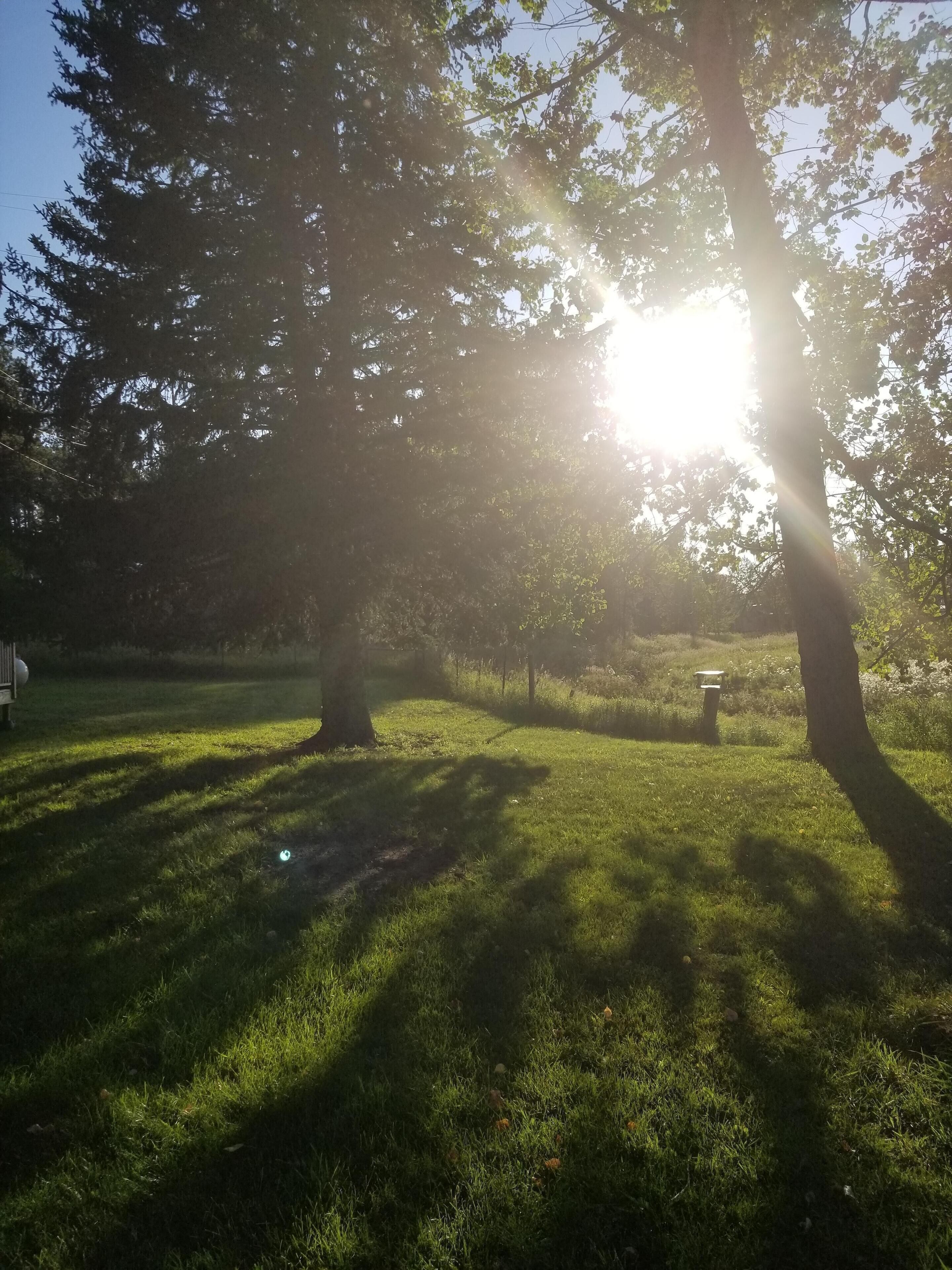 A park with trees and a bench.
