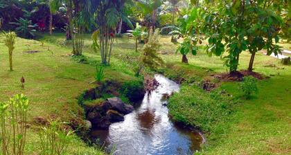 Best location, nature and art
