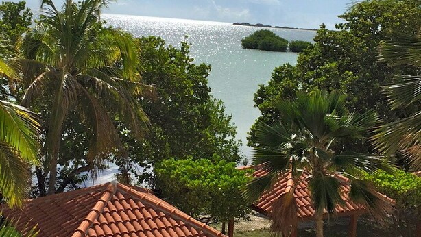 Un resort tropicale con palme, un gazebo piastrellato e vista sull'oceano.