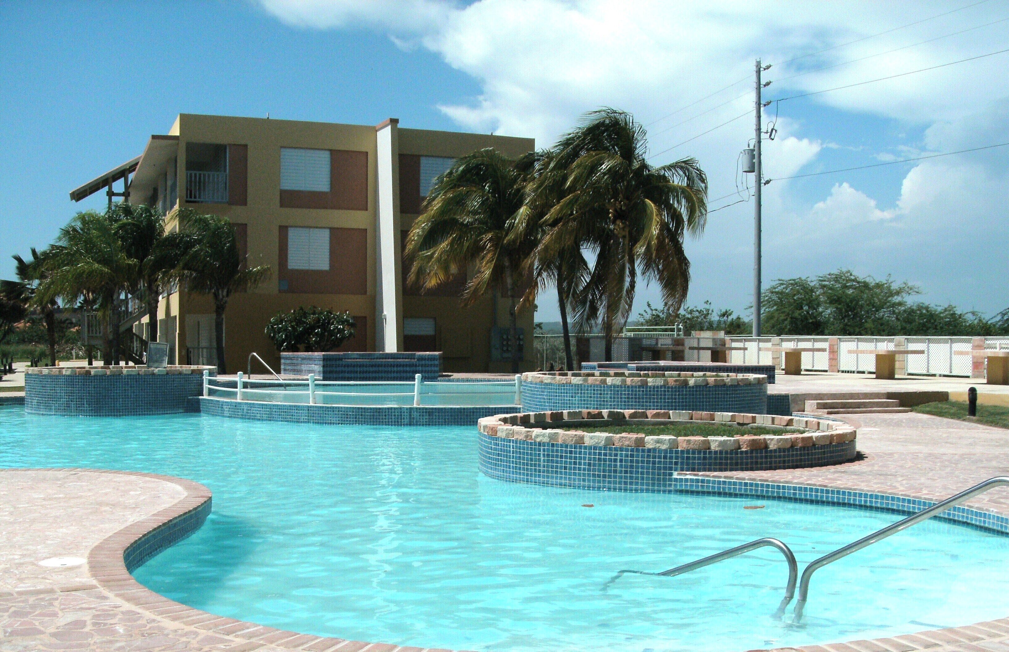 Una piscina amb vores de rajola i una palmera al fons.