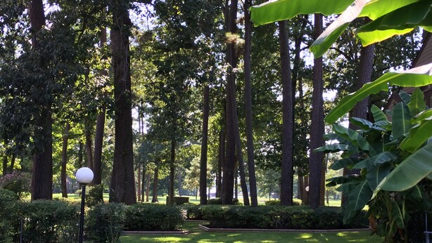 A well-maintained park with tall trees, manicured lawns, and a spherical light post. - Yacht Club, Golf course, lake view, ground floor condo (Montgomery)