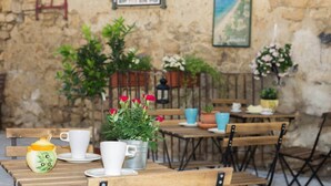 An outdoor café with wooden tables and chairs, white cups, and a potted plant with red roses. - Old Market House Antò Ragusa (Ragusa)