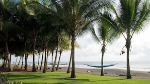 A beach with palm trees, a hammock, and a grassy area. - Deluxe Beach Front Luxury Villa - Private Pool in Gated Community! (Playa Hermosa)