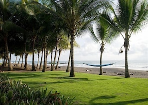 Ein Strand mit Palmen, einer Hängematte und einer Rasenfläche.