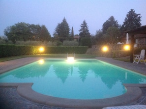 En swimmingpool med en kant av kakel, omgiven av en häck och träd.