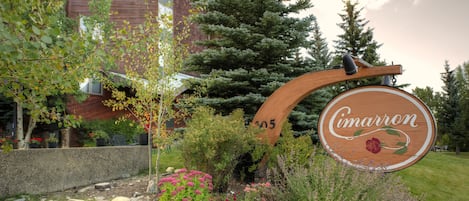 Appartement, meerdere bedden, uitzicht op bergen (Cimarron Chalet) | Exterieur