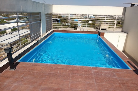 Outdoor pool, sun loungers