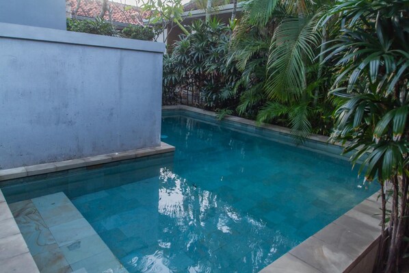 Une piscine entourée d’une végétation luxuriante et bordée d’un mur en béton.