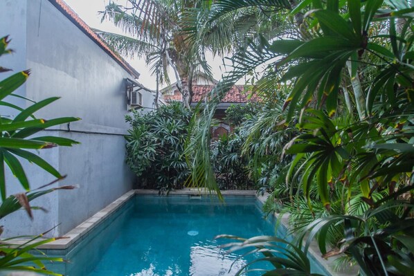 Outdoor pool, sun loungers