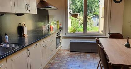 3 rooms, 2 bathrooms, near centre, free parking, free wifi, sunny garden