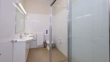 A modern bathroom with a glass shower enclosure, a white sink, and a toilet.