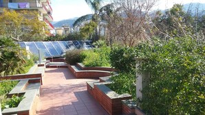 Una terraza en la azotea con paneles solares, un camino de ladrillo y abundante vegetación.
