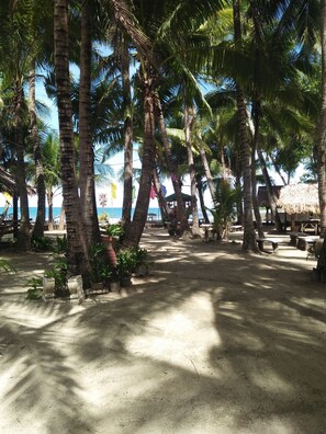 Property grounds - Coco Paradise Beach Resort (Currimao)